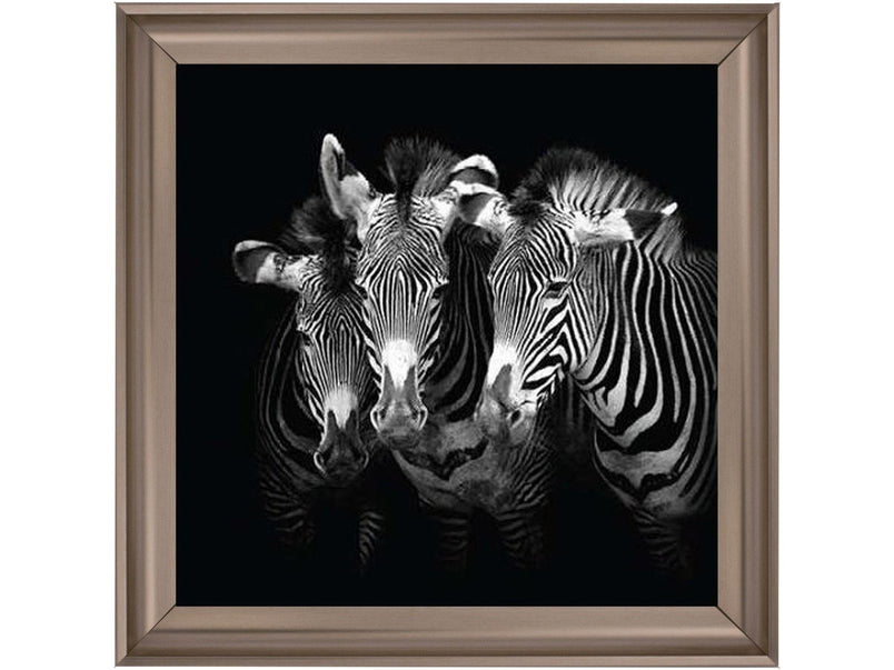 Zebra Triptych