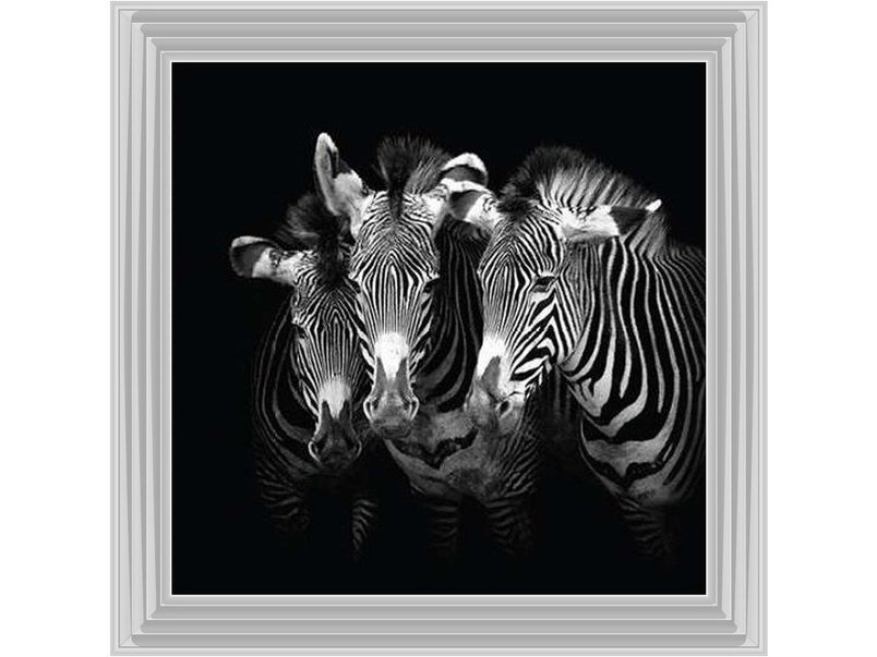 Zebra Triptych