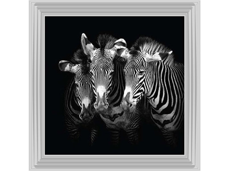 Zebra Triptych