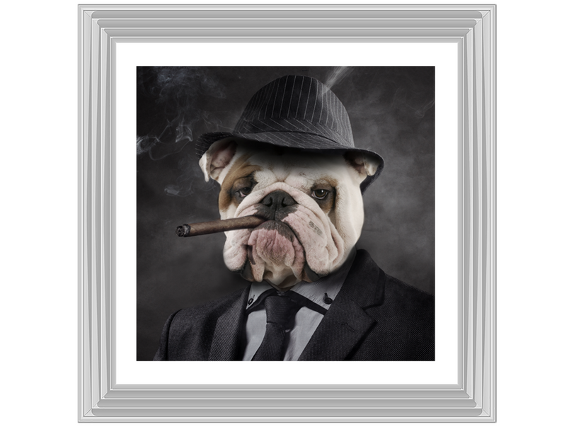 Gangster Bulldog (border)