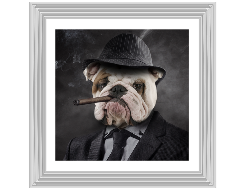 Gangster Bulldog (border)