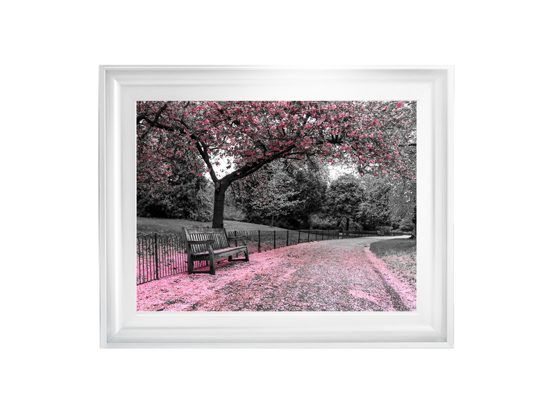 Park bench Pink