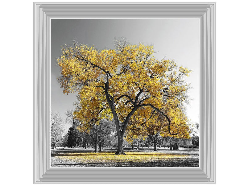 Yellow leaved tree