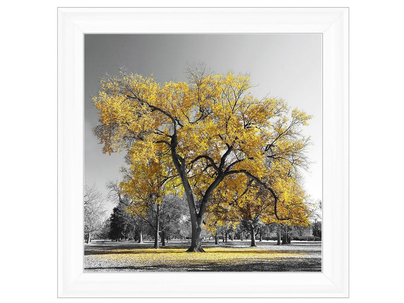 Yellow leaved tree