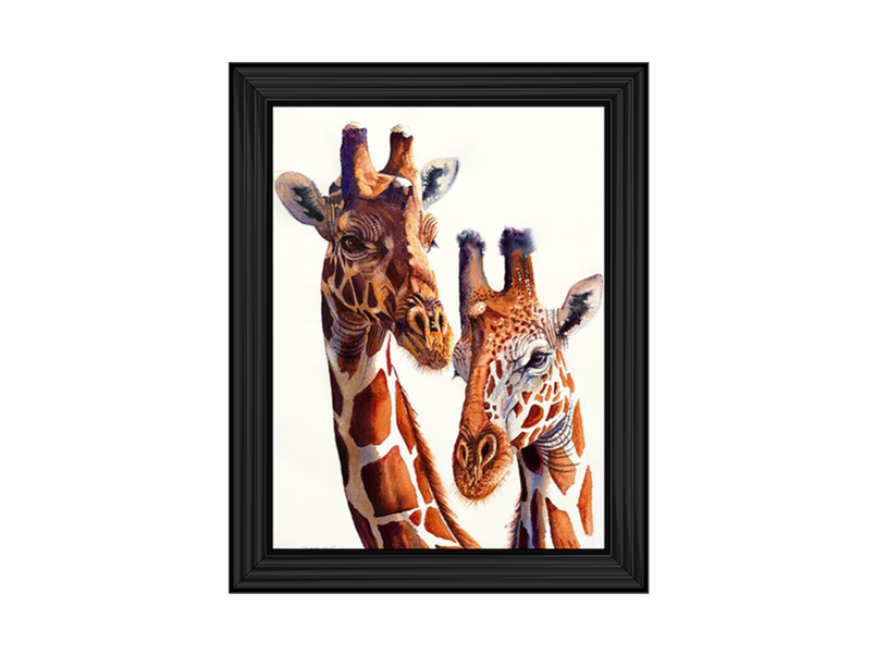 Safari Giraffes