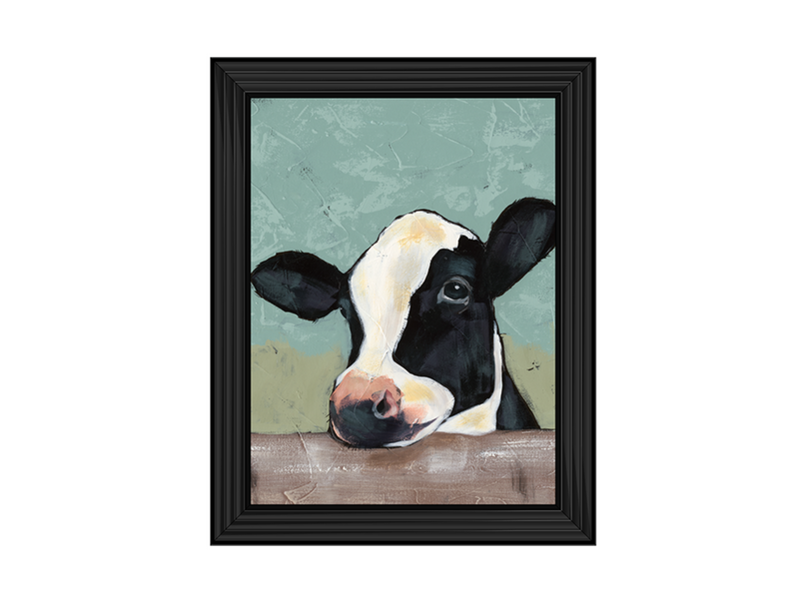 Holstein Cow II