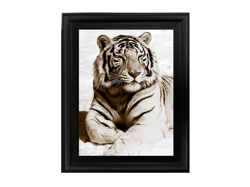 African Animals Series - Tiger A