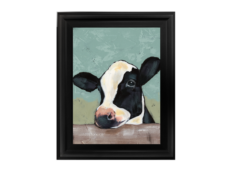 Holstein Cow II