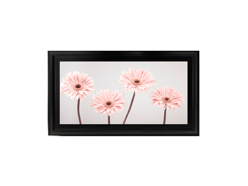 Set of 4 Gerberas nude pink