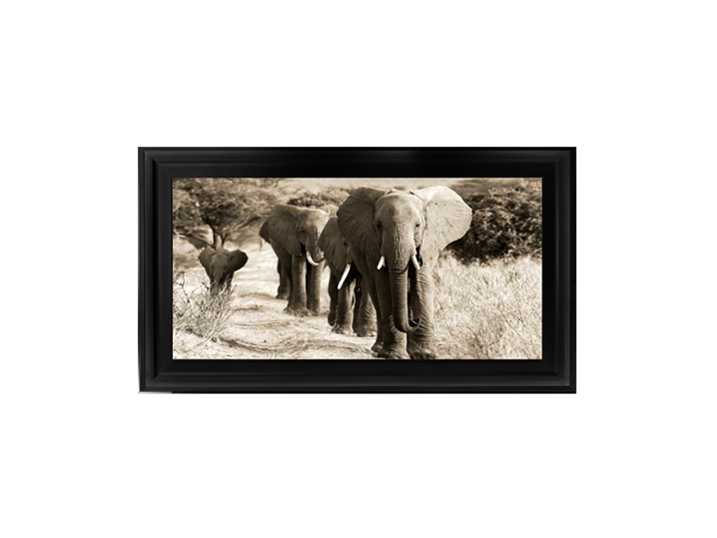 Herd of African Elephants - Kenya