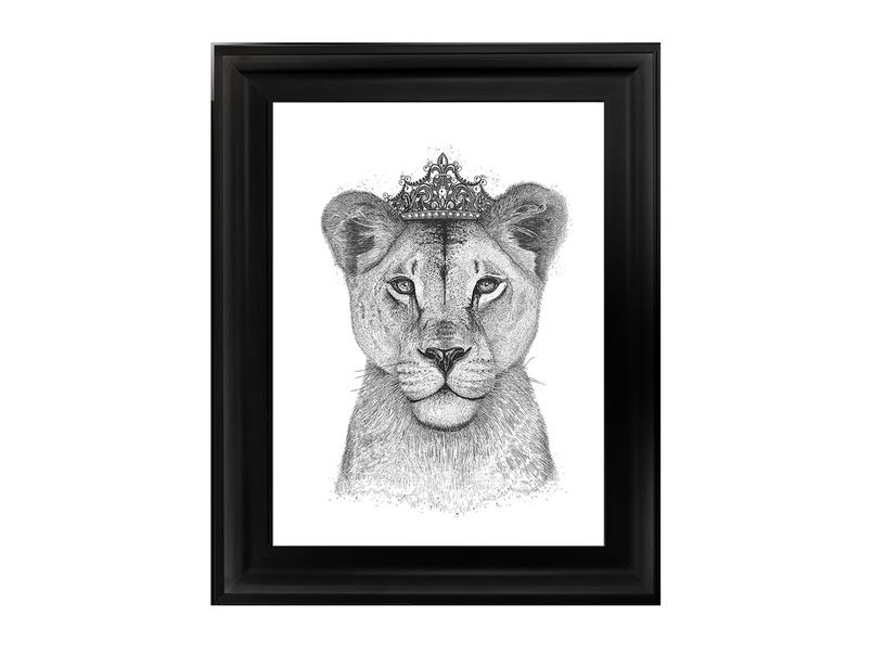 Queen Lioness