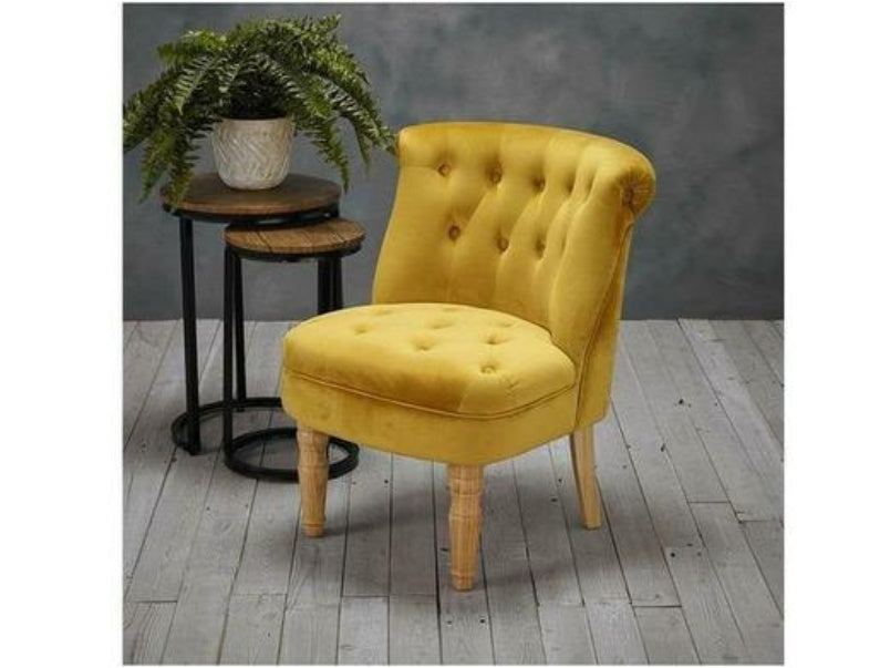 Charlotte Plush Velvet Chair