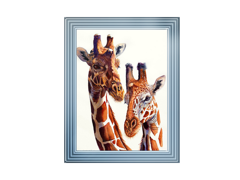 Safari Giraffes