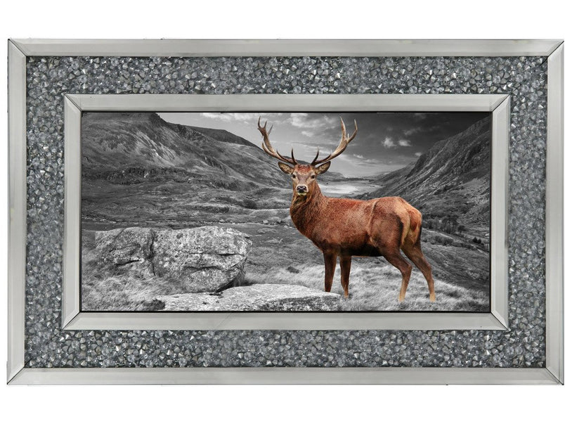 Stag in Highlands