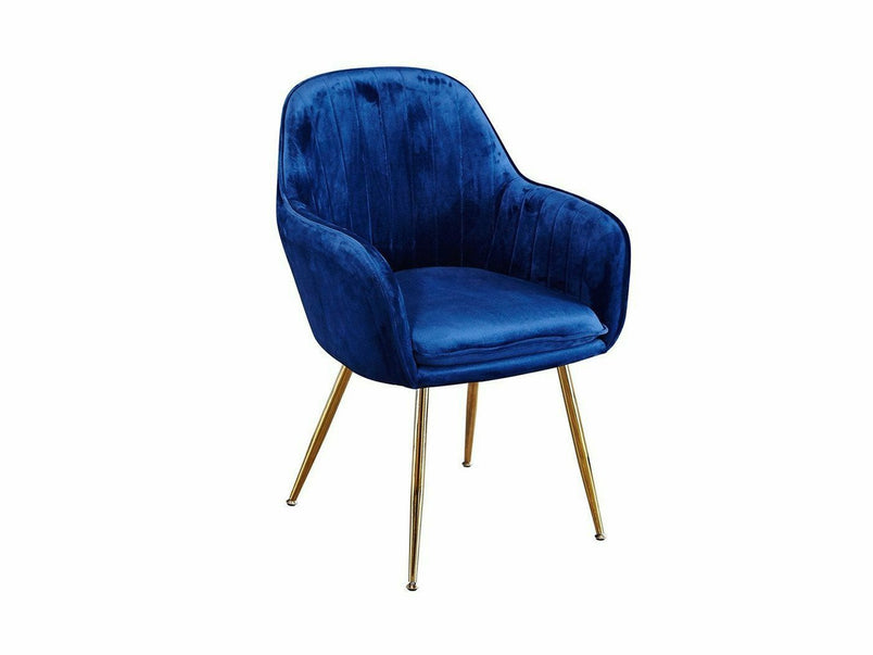 Ottawa Velvet Dining Chair with Gold Legs (Pack of 2)