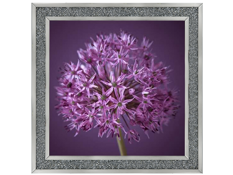 Purple Allium 1 by Assaf Frank