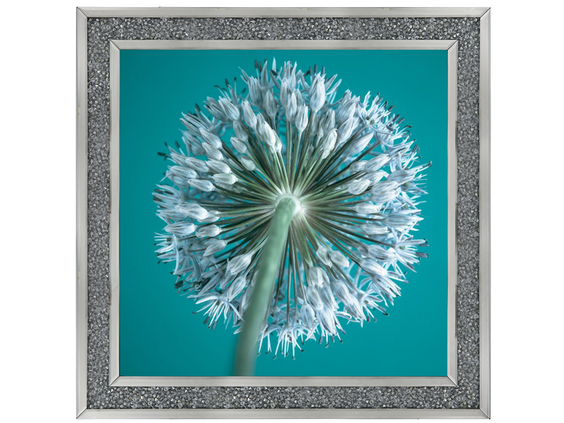 Turquoise Allium II by Assaf Frank