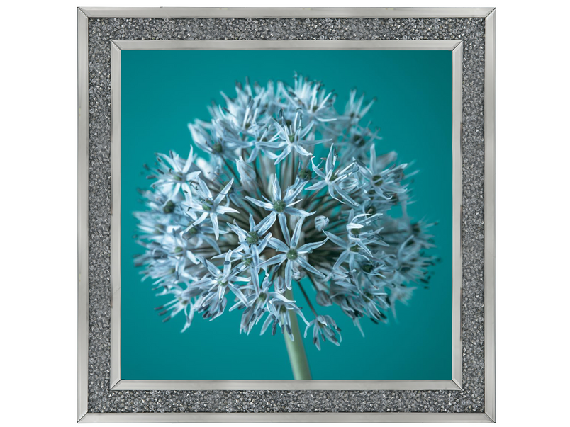 Turquoise Allium I by Assaf Frank
