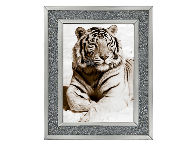 African Animals Series - Tiger A