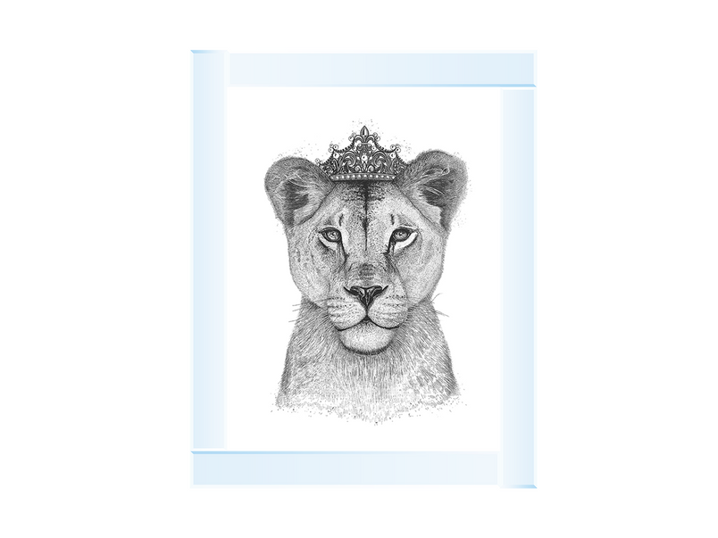 Queen Lioness