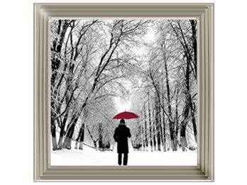 Trees in Winter Red Umbrella