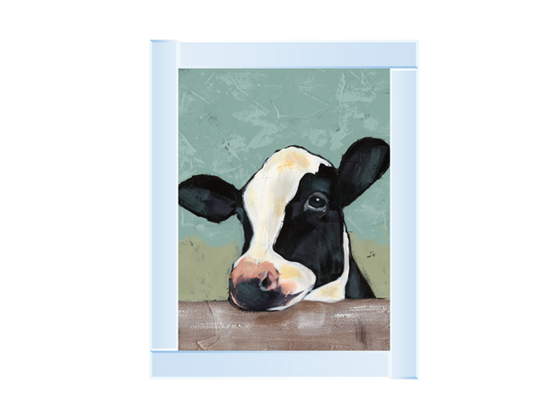 Holstein Cow II