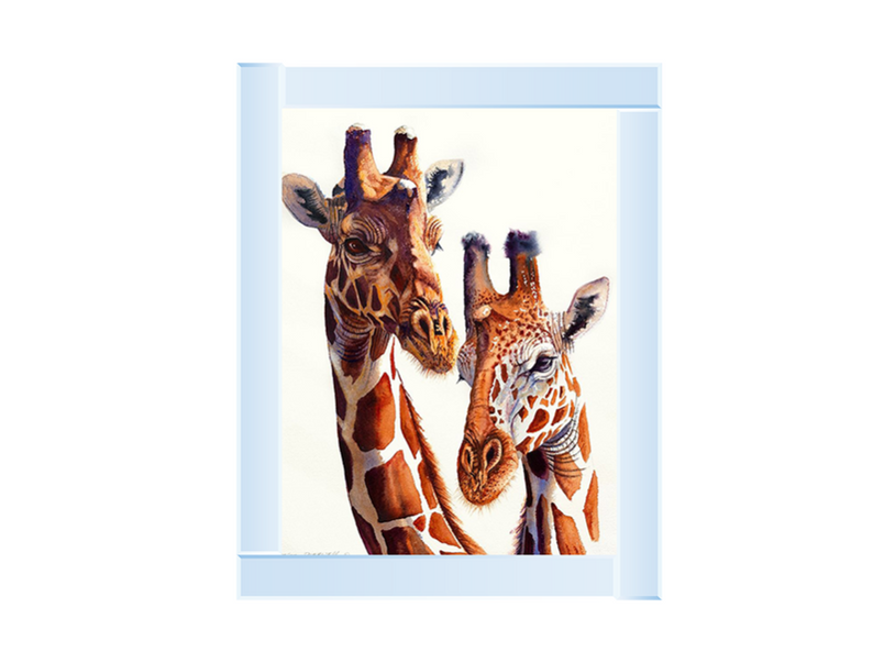 Safari Giraffes