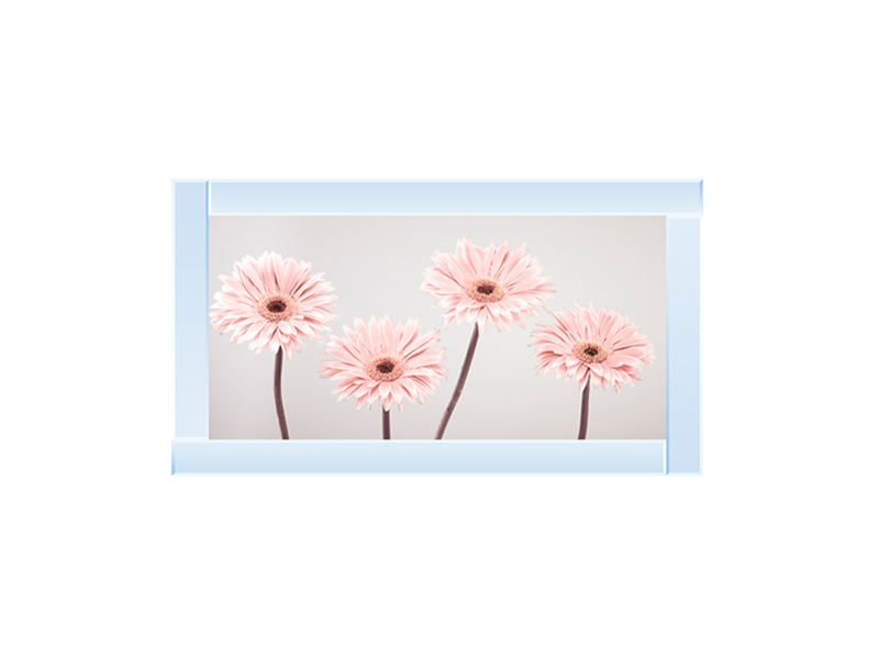 Set of 4 Gerberas nude pink