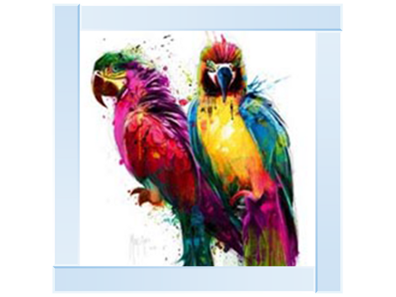 Tropical Colors I