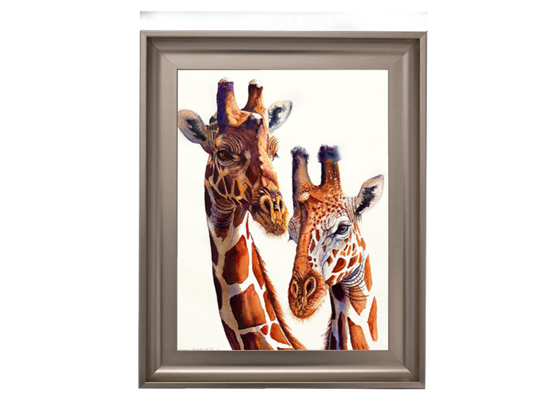 Safari Giraffes