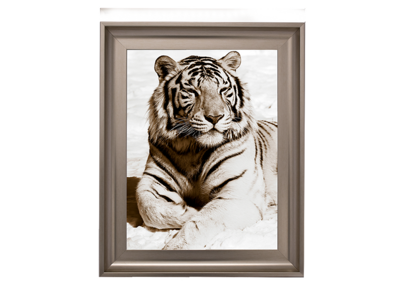 African Animals Series - Tiger A