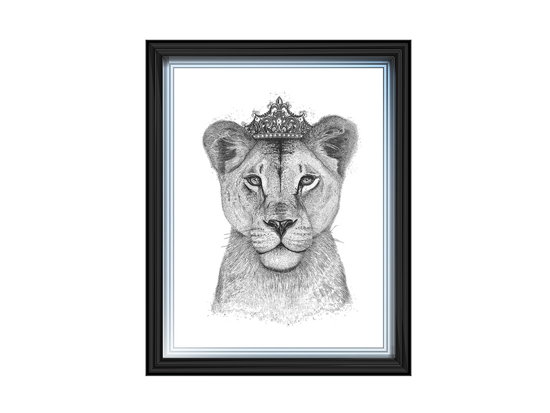 Queen Lioness
