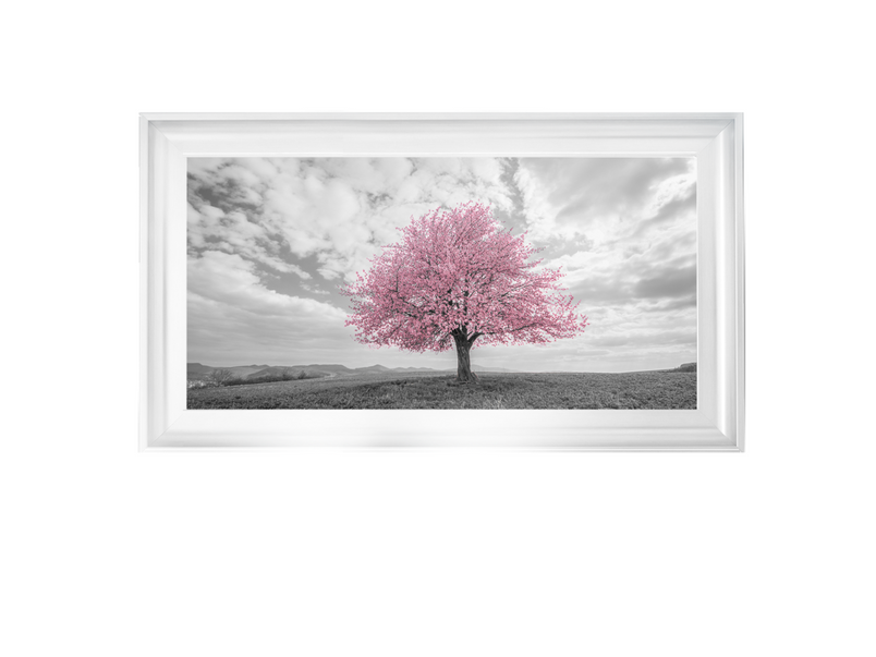 Pink tree