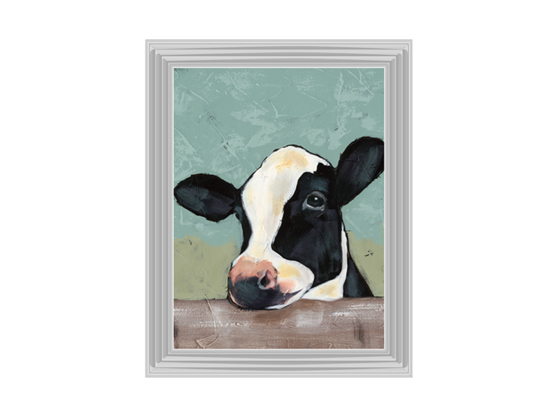 Holstein Cow II