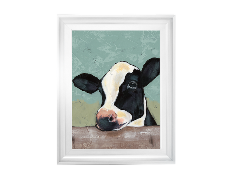 Holstein Cow II