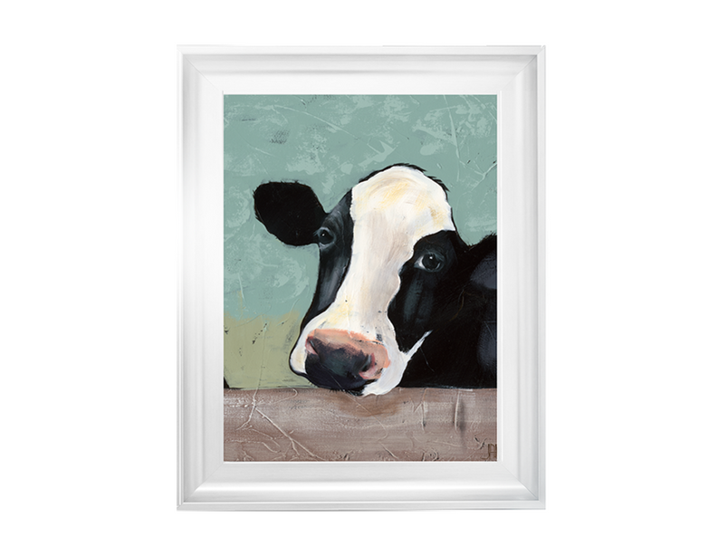 Holstein Cow III