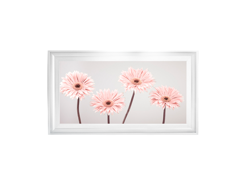 Set of 4 Gerberas nude pink